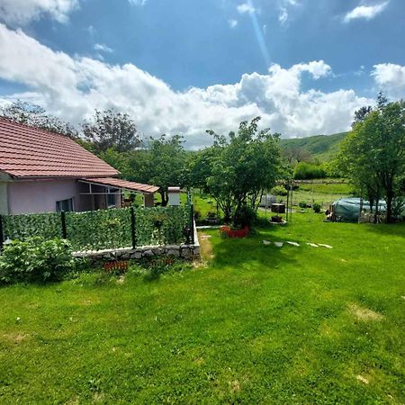 Village Flower Ivy Montenegro Nikšić Εξωτερικό φωτογραφία